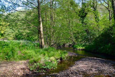 Our section of The Avon Water